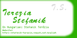 terezia stefanik business card